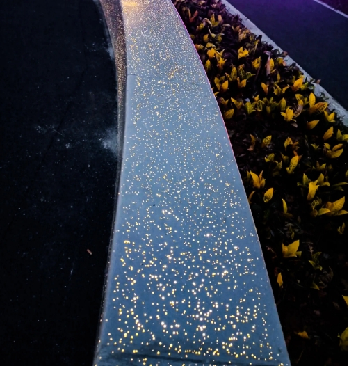 ͸�������