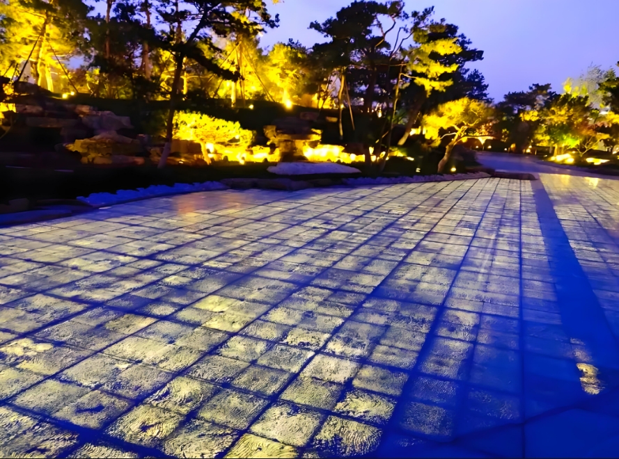 ͸�������